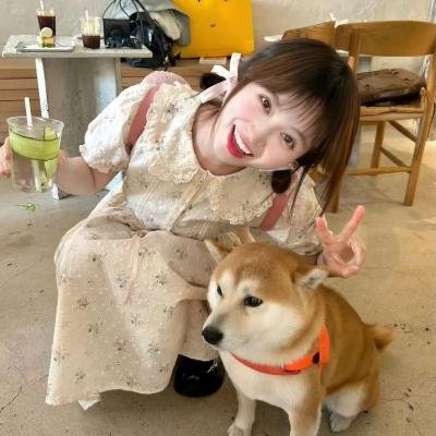 试探